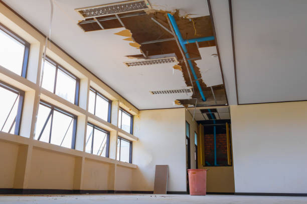 Best Local water damage restoration  in Freedom, CA