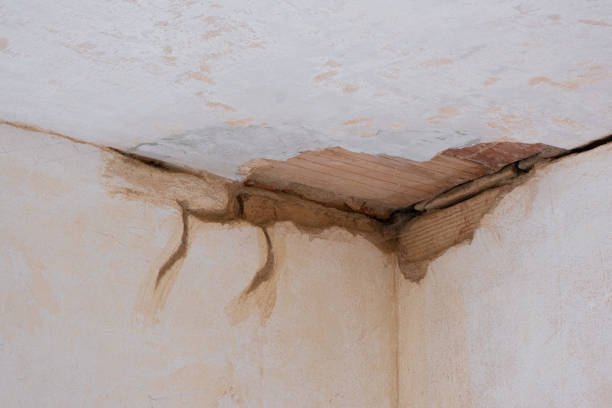 Best Residential water damage restoration  in Freedom, CA