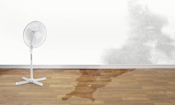Water damage restoration mold remediation in Freedom, CA