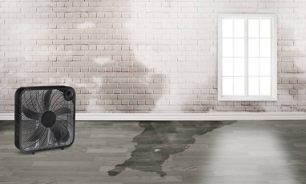 Best Commercial water damage restoration  in Freedom, CA