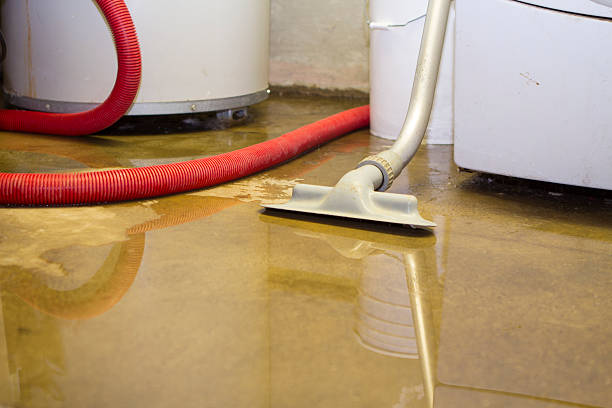 Best Commercial water damage restoration  in Freedom, CA