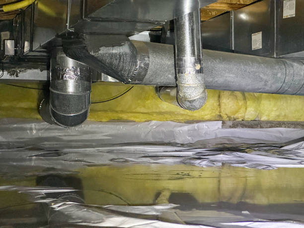 Best Mold removal after water damage  in Freedom, CA