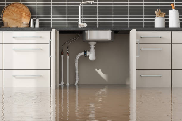  Freedom, CA Water damage restoration Pros