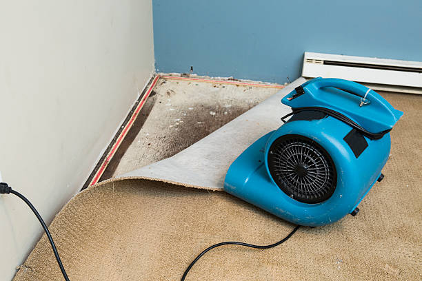 Best Water damage contractors near me  in Freedom, CA